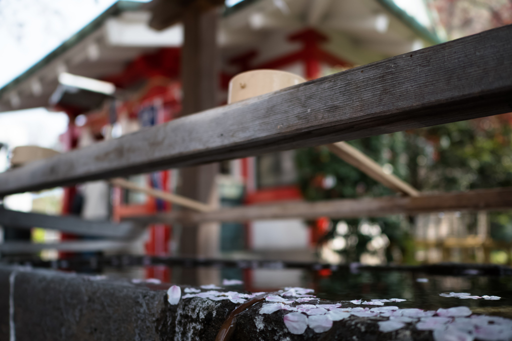 寂静＠元町嚴島神社