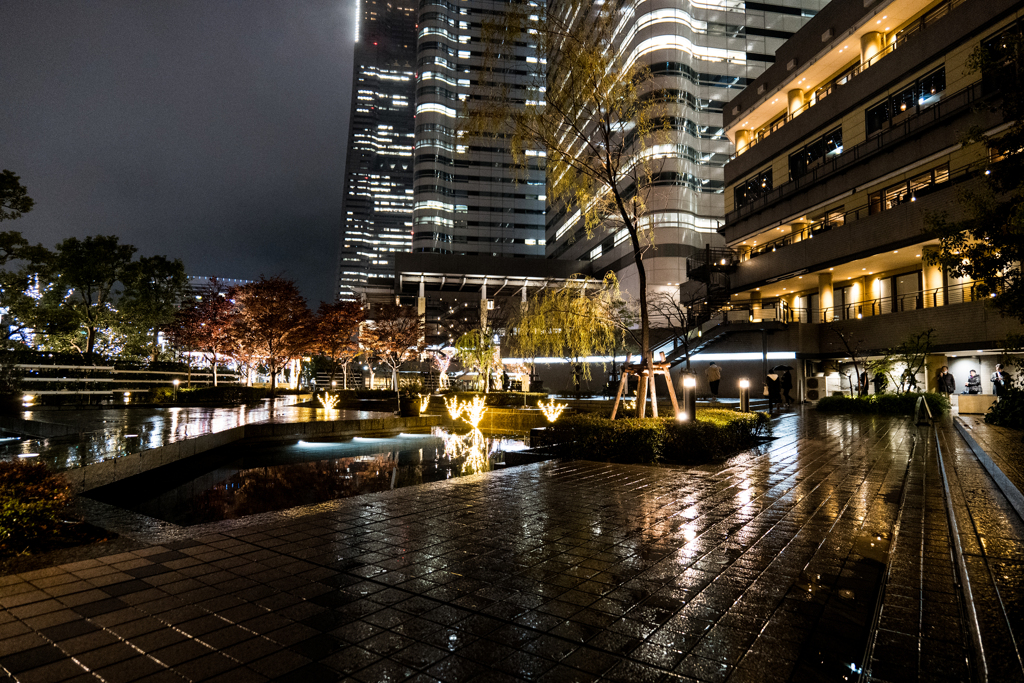 Rainny night