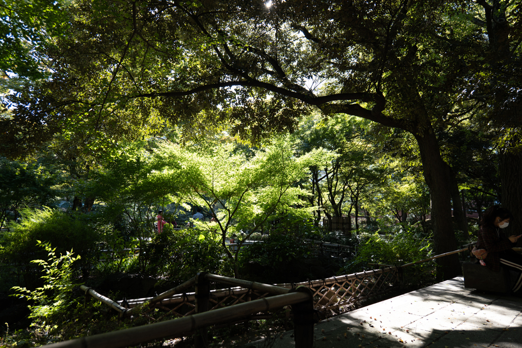 緑溢れる＠横浜公園 彼我庭園