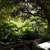 緑溢れる＠横浜公園 彼我庭園