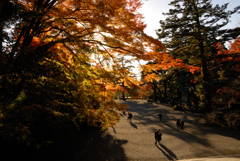 夕暮れの参拝