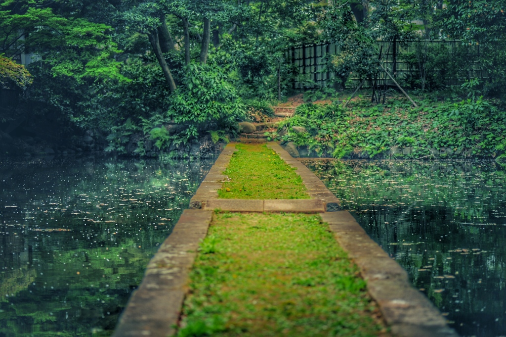 池のミチ