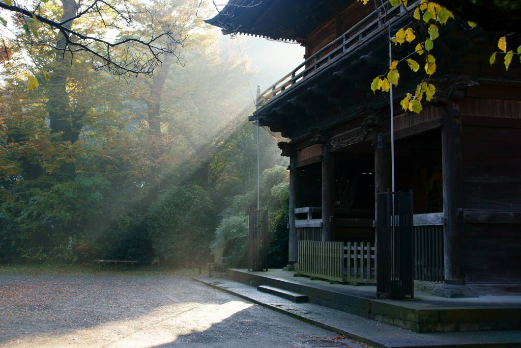 称名寺の朝