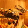 The Royal Aircraft Factory S.E.5