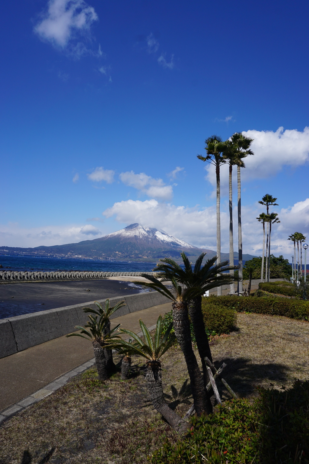 雪化粧の桜島 ー荒崎パーキングにてー