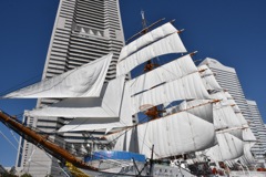 日本丸総帆展帆