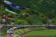 鯉のぼり，のぼり，・・・
