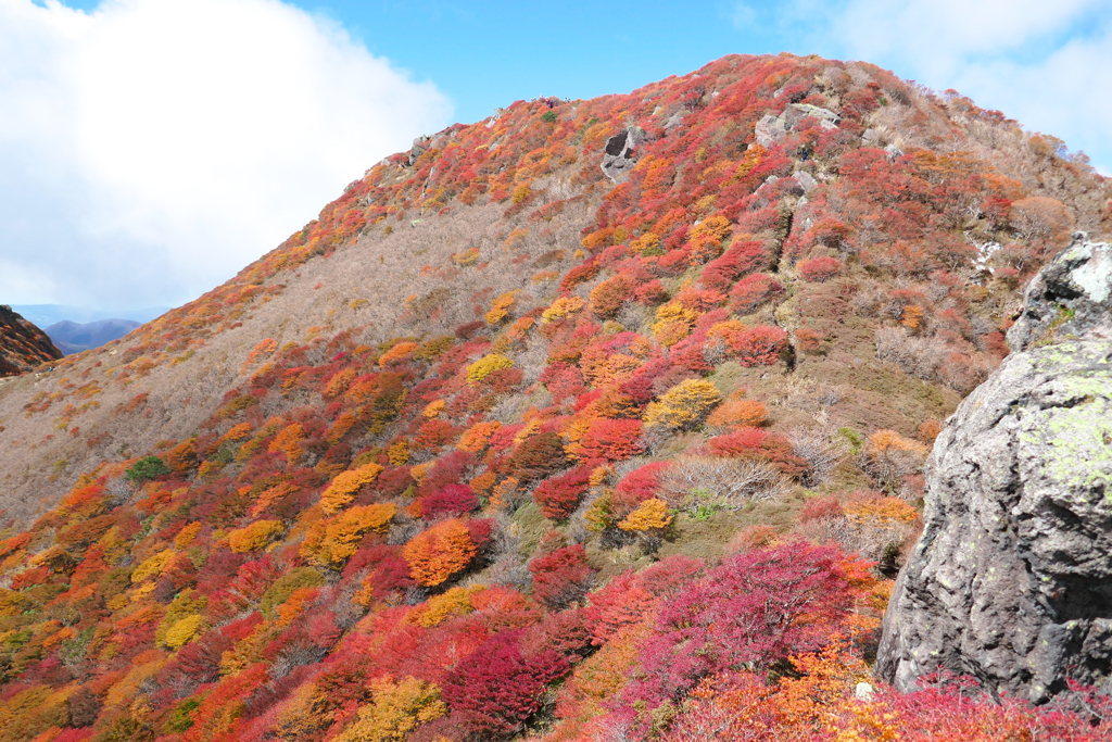 三俣山の紅葉