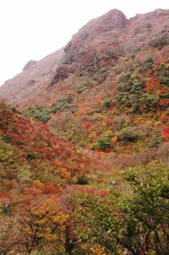 山奥の紅葉