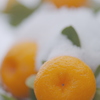 南国の雪