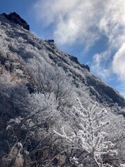 山頂を見上げて