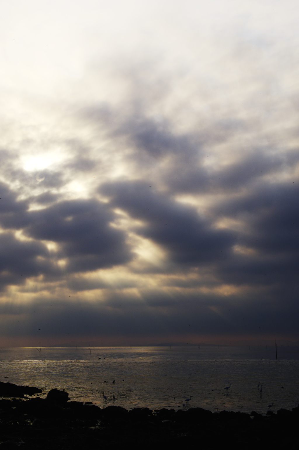 有明海の朝の雲