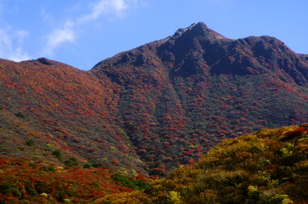 紅葉真っ盛り