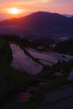 棚田の夜明け