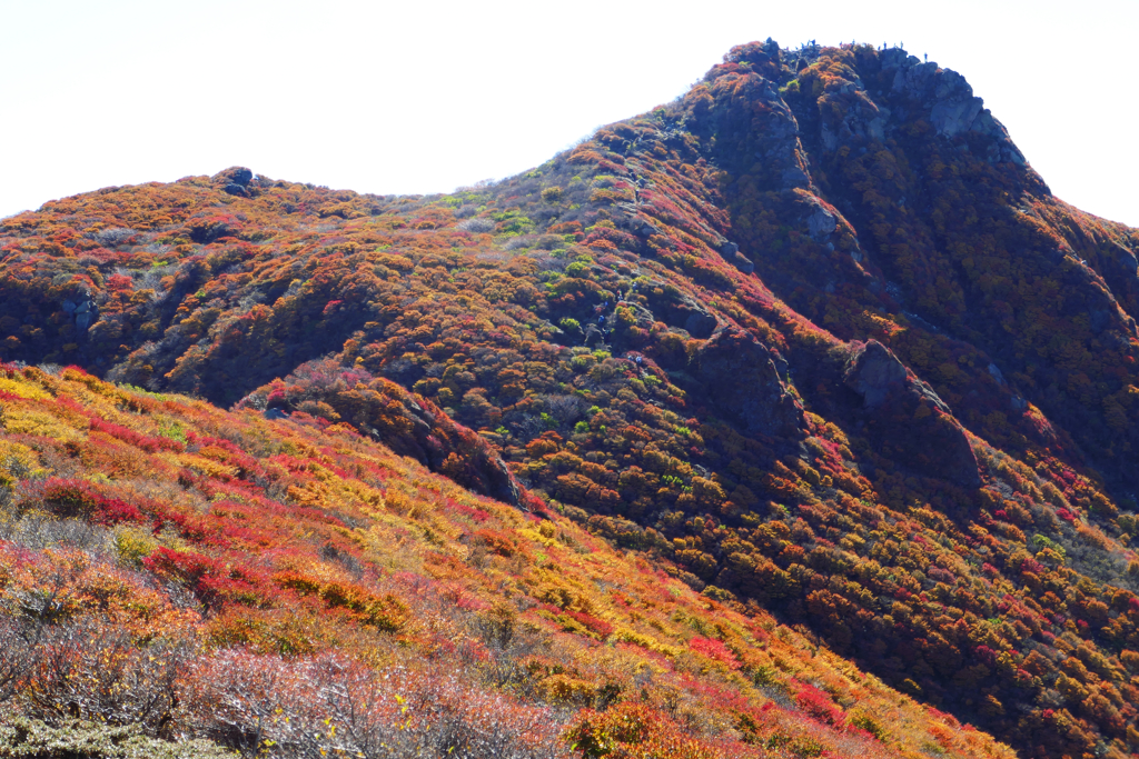 大船山の紅葉