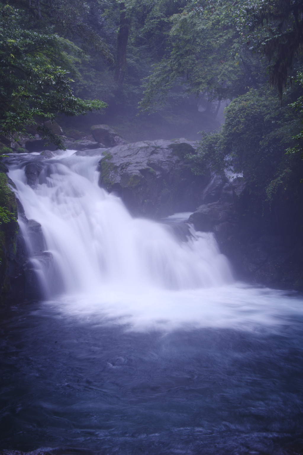 靄の中の滝