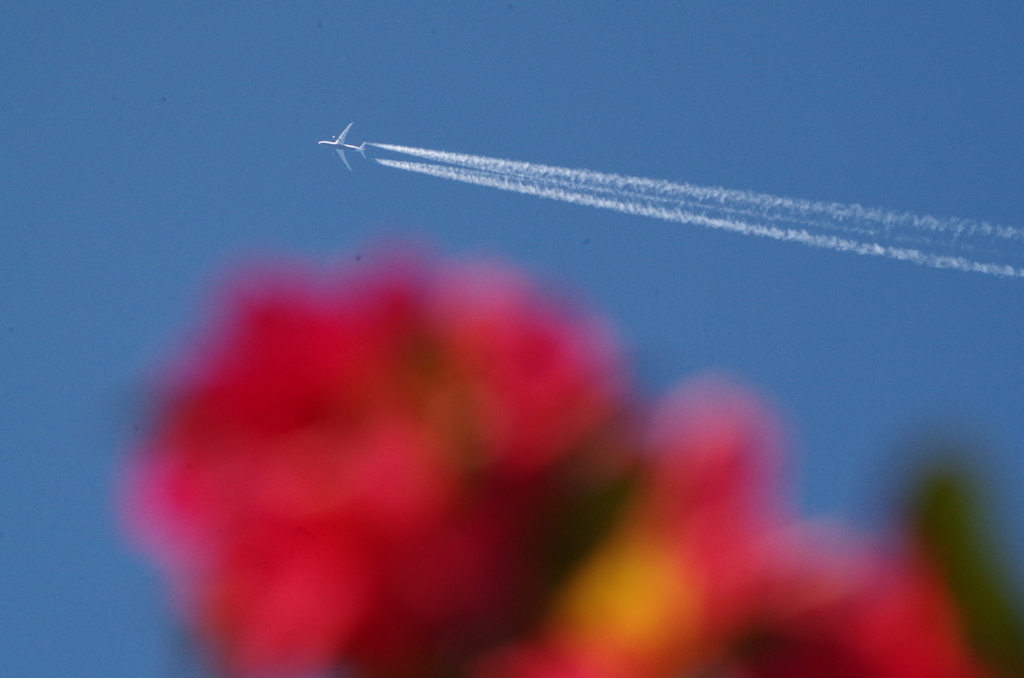 飛行機雲 