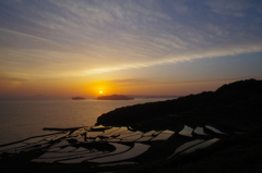 夕方の土谷棚田