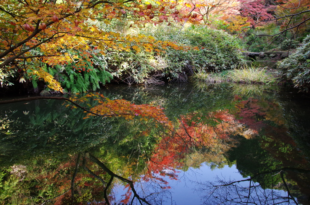 陶山神社の秋