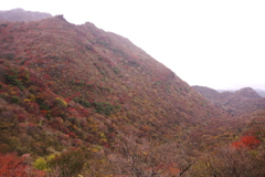 秋の普賢岳