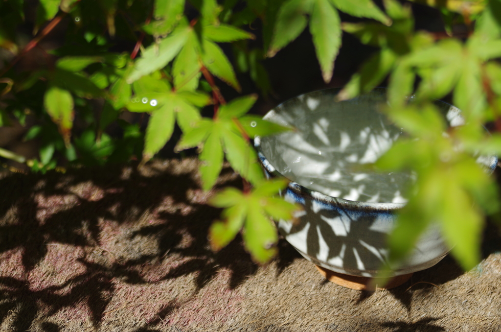 もみじの木の下の茶碗２