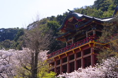 神社の春