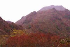 紅葉の雲仙