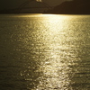 伊万里湾夕景２