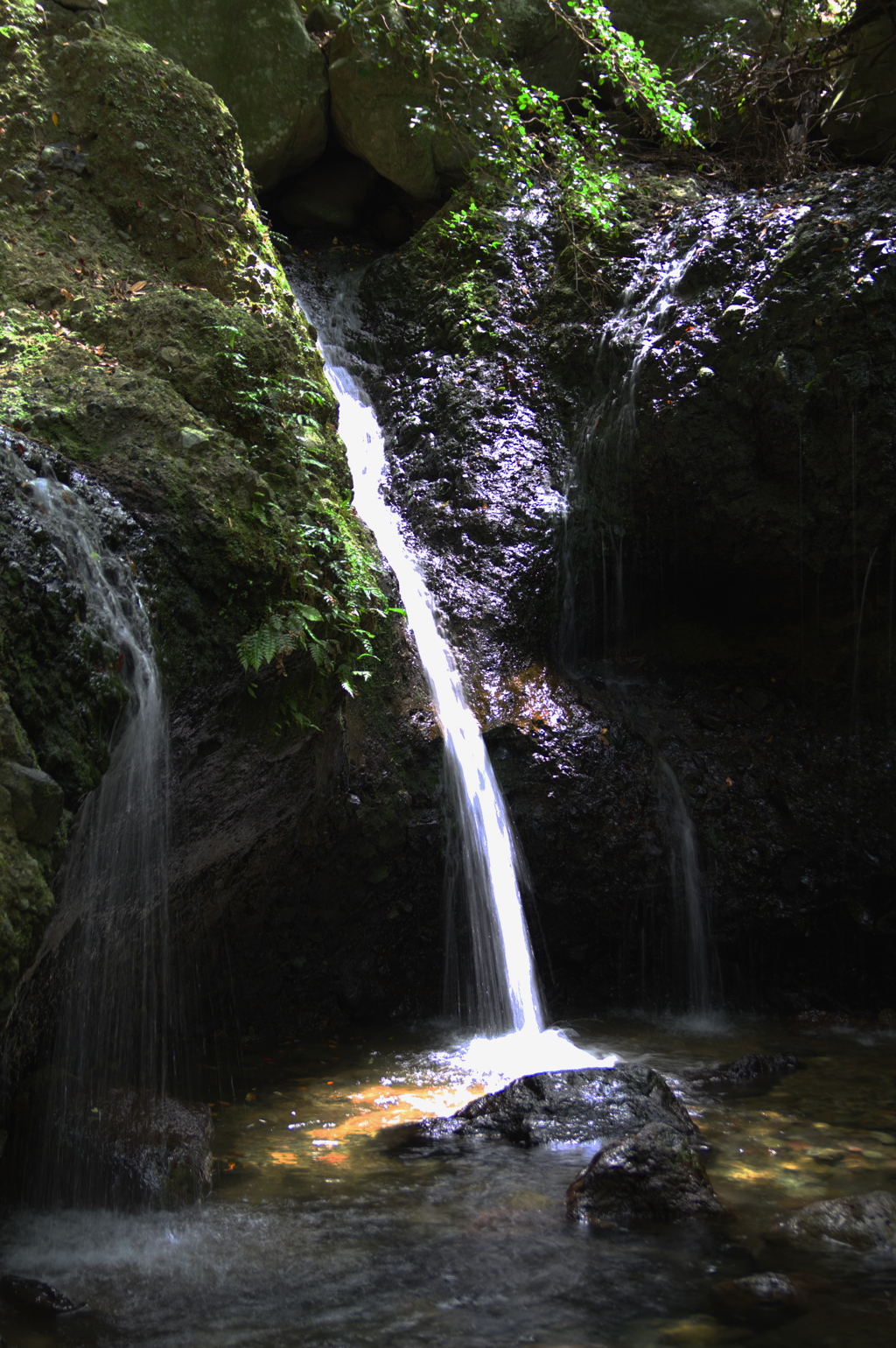 日差しを受けた滝