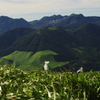 涌蓋山から久重連山を望む