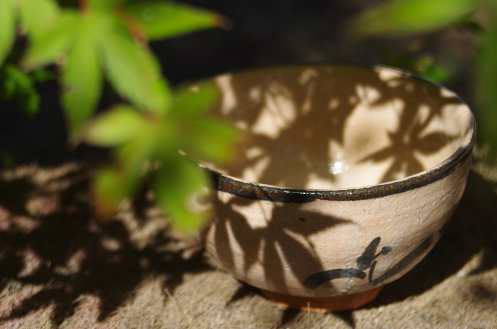 もみじの木の下の茶碗１