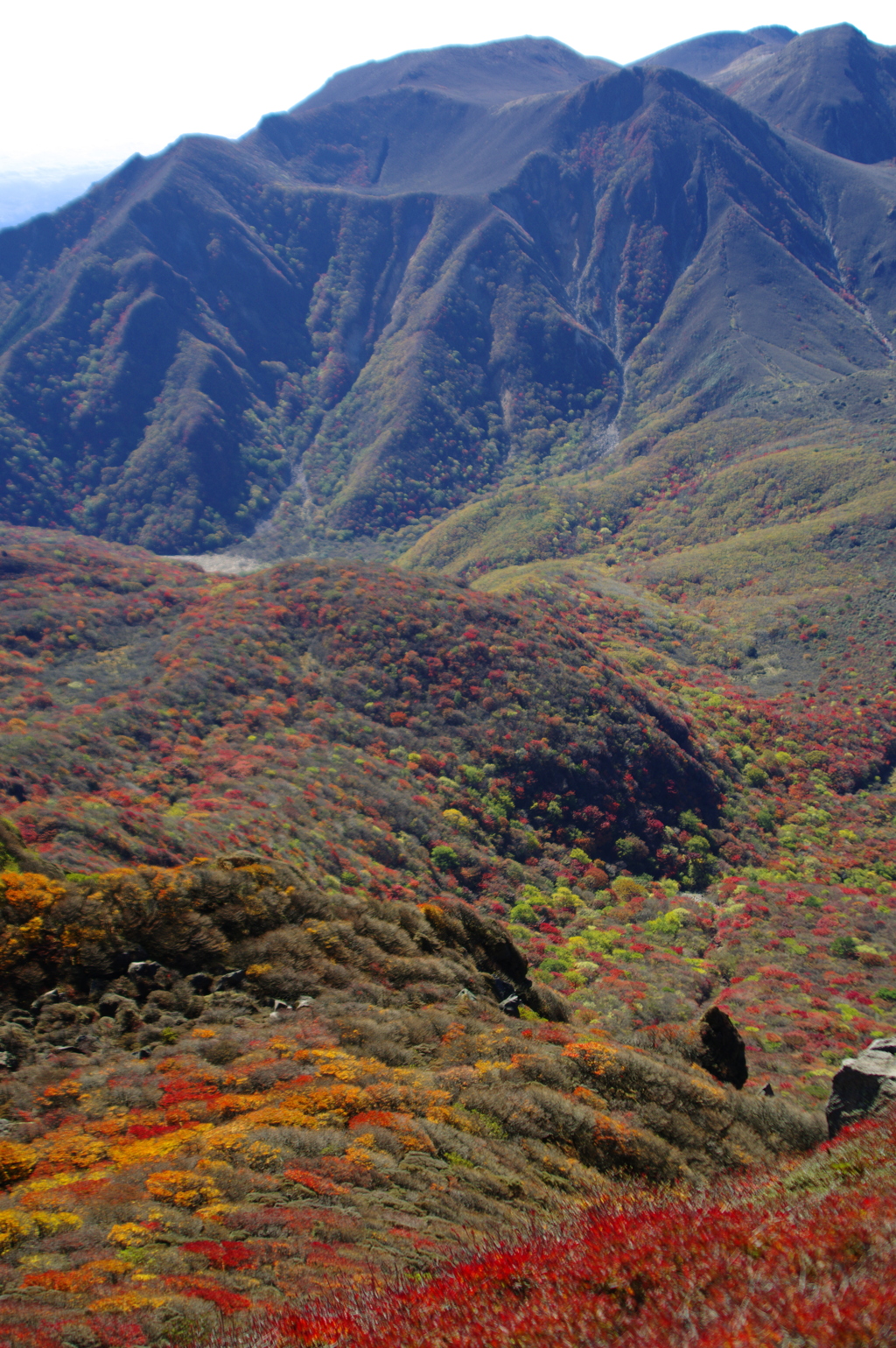 くじゅう連山の紅葉