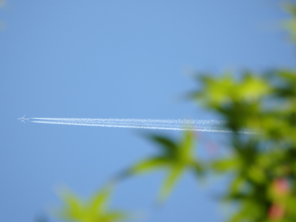 飛行機雲