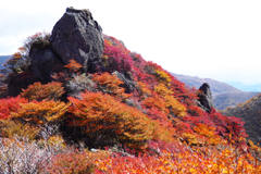 三俣山北峰の紅葉