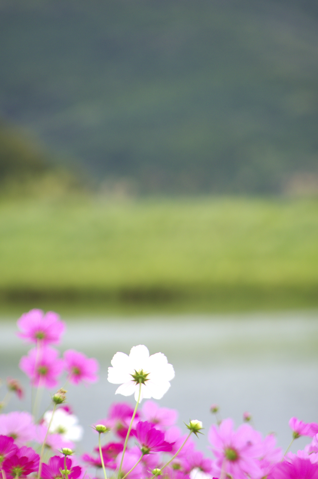 静寂な秋の日