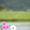 静寂な秋の日