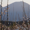 夕方の腰岳