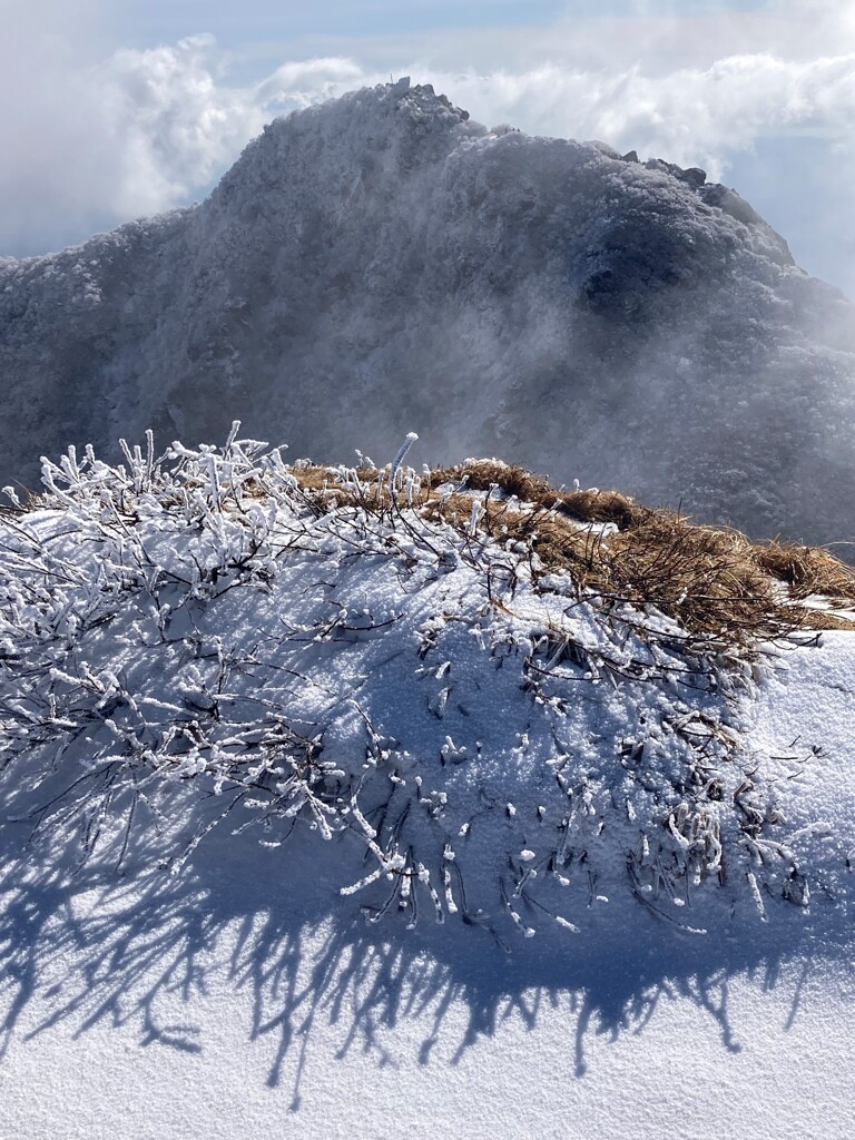 山頂の日差しと霧