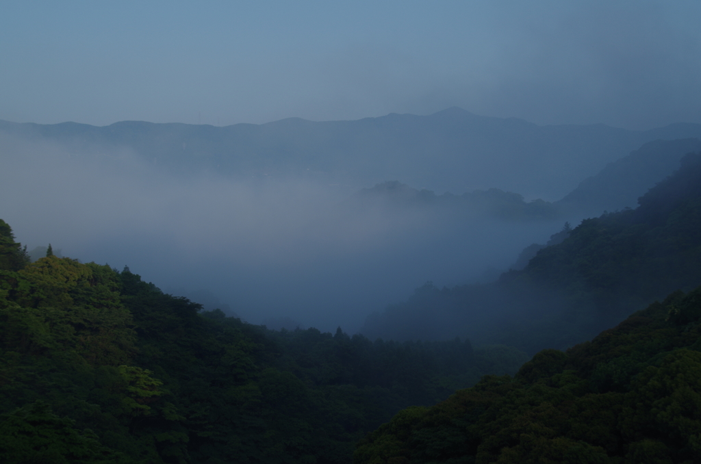 霧の夜明け