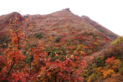 普賢岳の紅葉