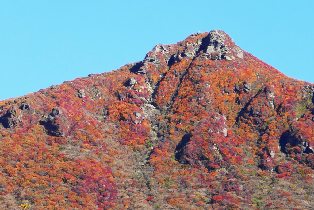 秋の大船山