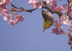 次へ行こう