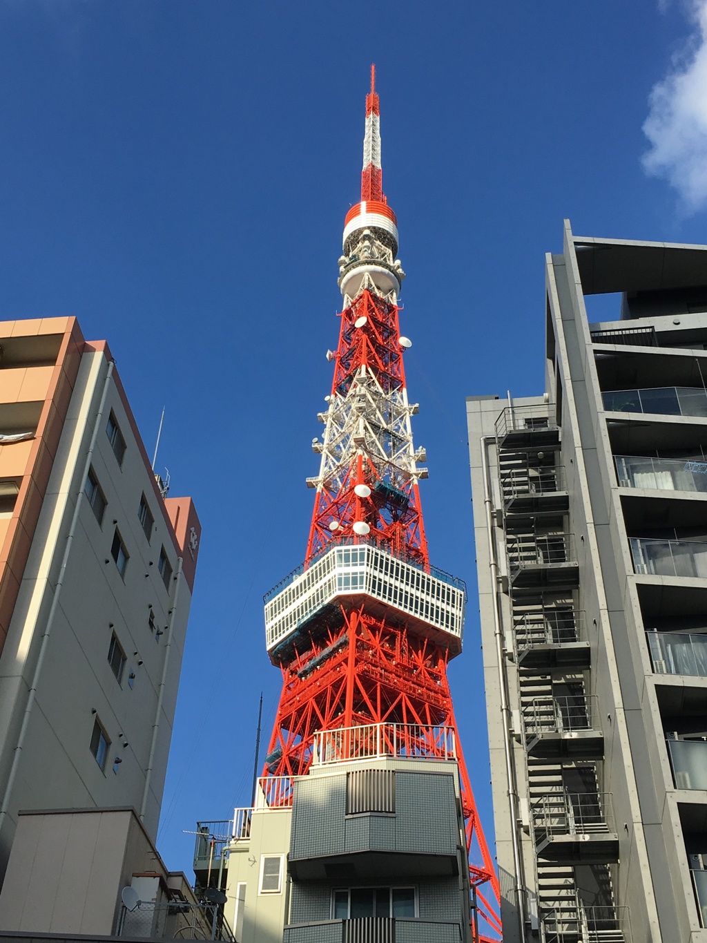 まだまだ高いぞ