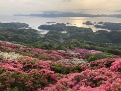 夕方のつつじ園と島々