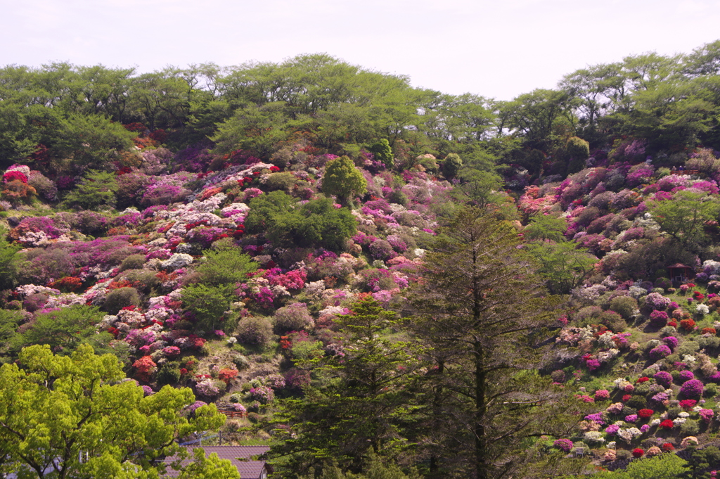 東山公園