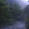 霞む渓谷