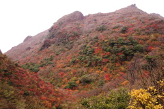 雲仙の秋