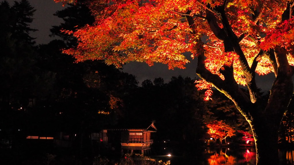 秋深夜の兼六園