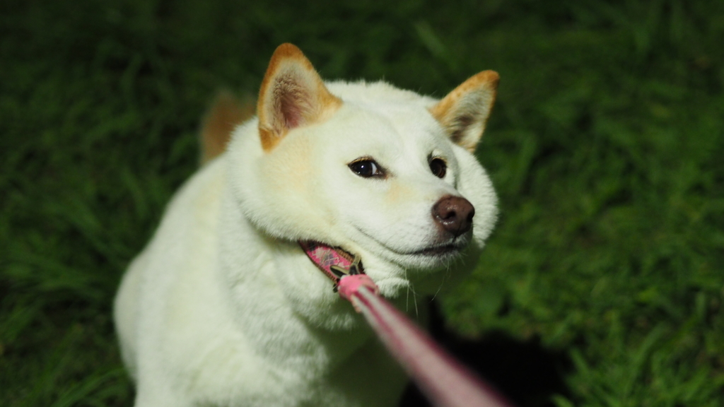 ふくふくな大福