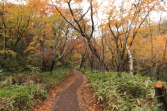 登別地獄谷にて